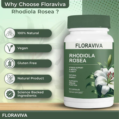 Rhodiola Rosea Capsules - Floravida for Energy, Focus, Mood - 60 Capsules.