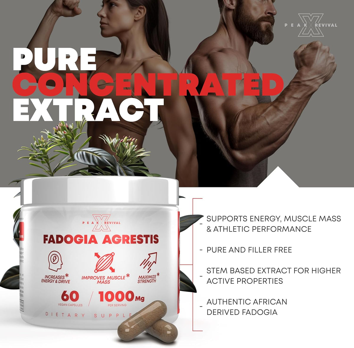 1000mg Per Serving Supplement - Potent Extract to Increase Energy, Athletic Performance & Muscle Mass - Supplements, Made in The USA (60 Capsules)