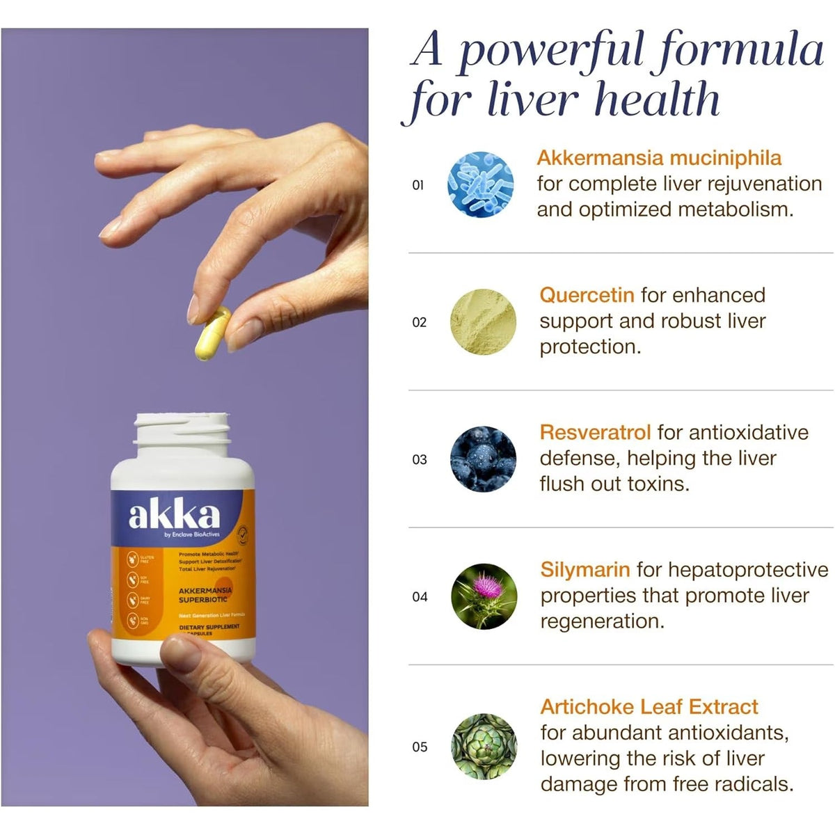Akkermansia Probiotic, Liver & Digestive Health Support, Non-GMO, 4 Pack | Daily Wellness Support with Akkermansia Muciniphila, Gluten-Free
