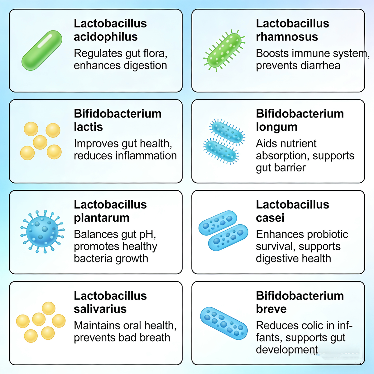 Highly Active Probiotic Blend Supports Gut Health, Aids Digestion, and Protects the Stomach and Intestines Dietary Supplement